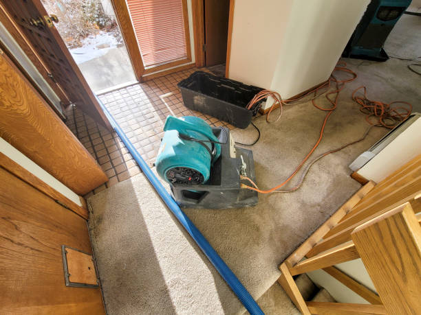 Best Flooded house restoration  in Dos Palos, CA