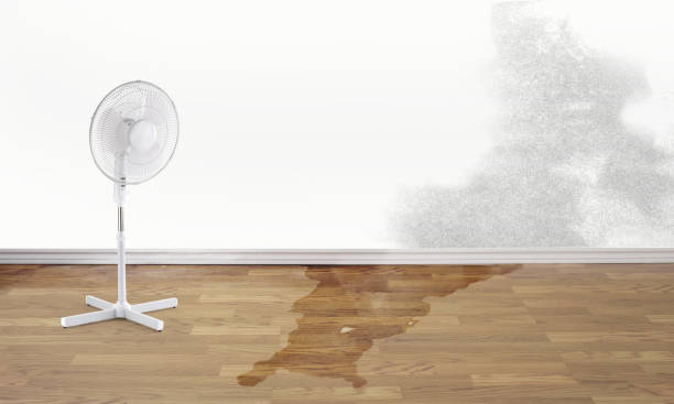 Best Carpet water damage restoration  in Dos Palos, CA