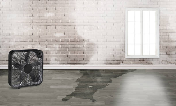 Best Ceiling water damage repair  in Dos Palos, CA