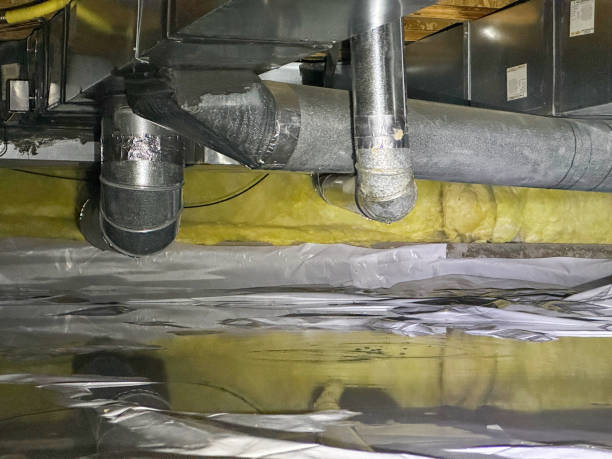 Best Local water damage restoration  in Dos Palos, CA