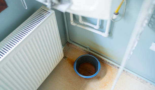 Best Water damage cleanup near me  in Dos Palos, CA