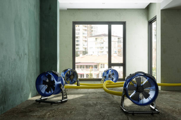 Best Residential water damage restoration  in Dos Palos, CA